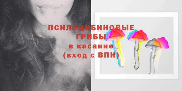 PSILOCYBIN Арсеньев