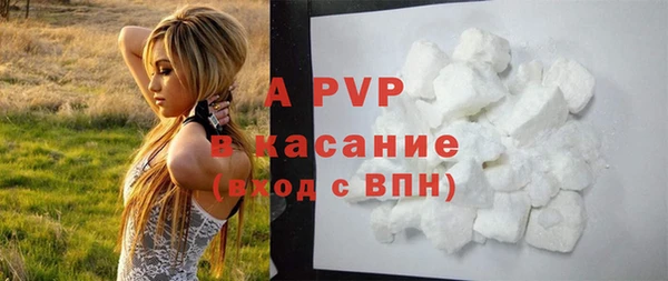 PSILOCYBIN Арсеньев
