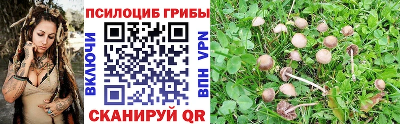 Галлюциногенные грибы мицелий  продажа наркотиков  Туймазы 